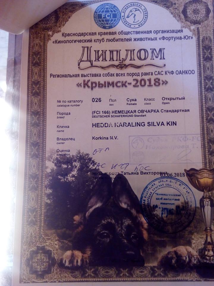  Крымск 03.06.18г..jpg